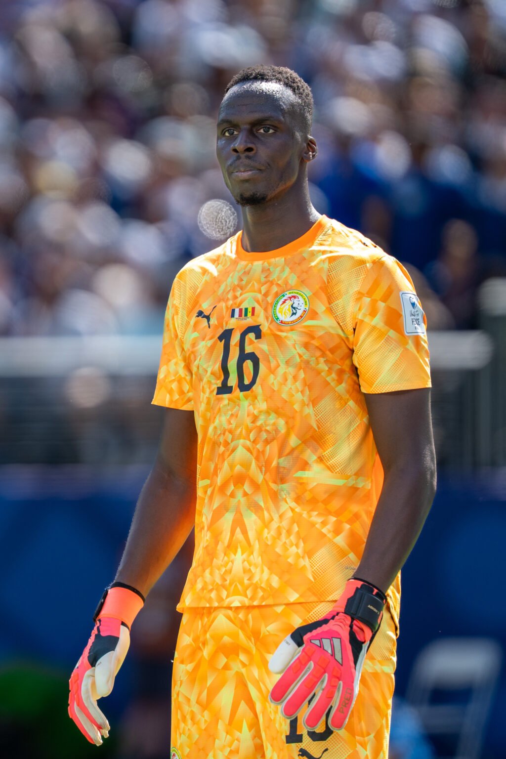 Edouard_Mendy_France_v_Senegal_16_June_2026-375
